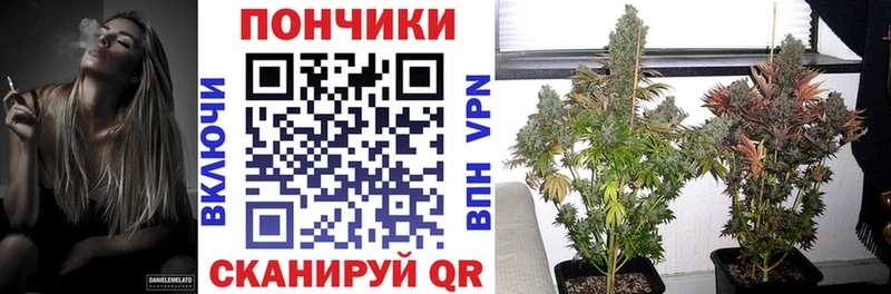 Сколько стоит Пугачёв Марихуана МЕФ Амфетамин ГАШИШ Кокаин