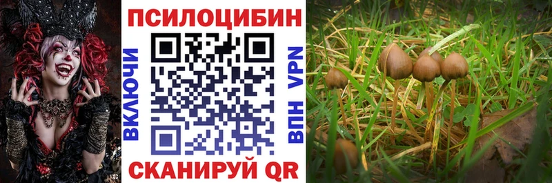 Галлюциногенные грибы Psilocybe Пугачёв
